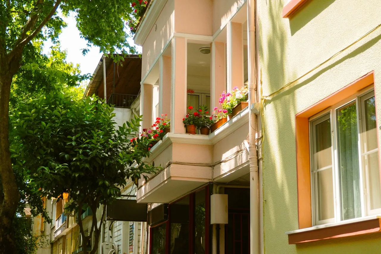 Balkon wschodni w porannym słońcu z fuksjami, hortensją i funkiami w donicach